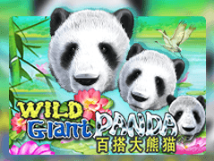 Wild Giant Panda icon