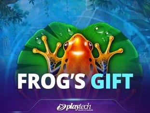 Frogs Gift icon